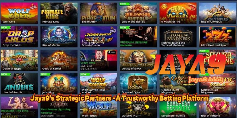 Mastering Betting Strategies with Jaya9 App